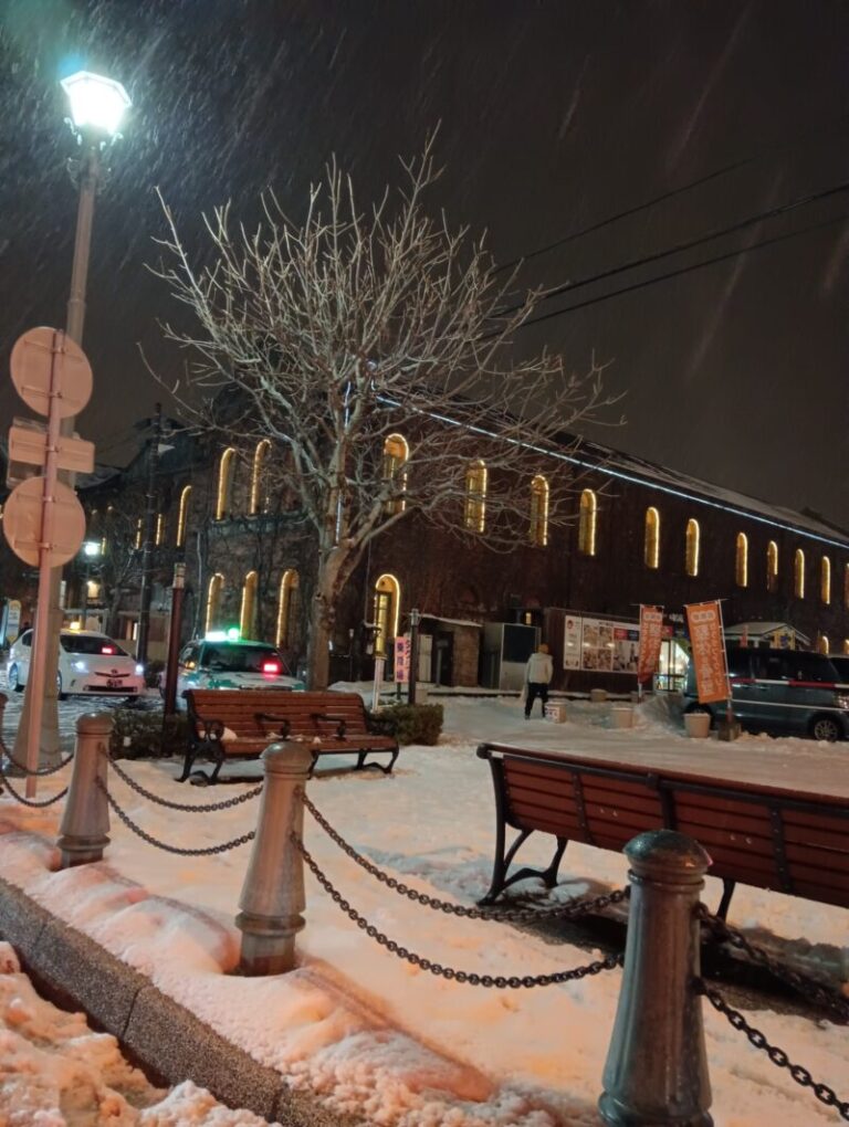 冬のベイ函館付近